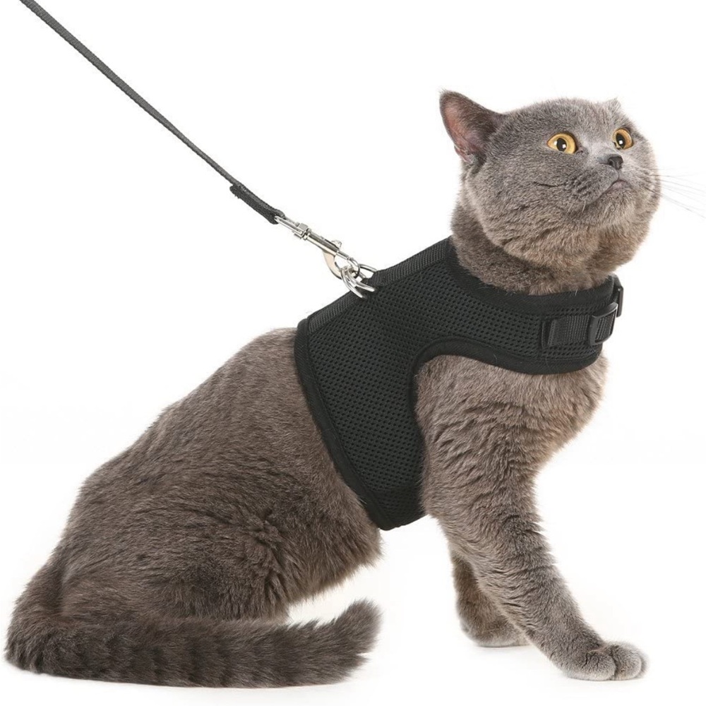Dog/cat harness and leash size M